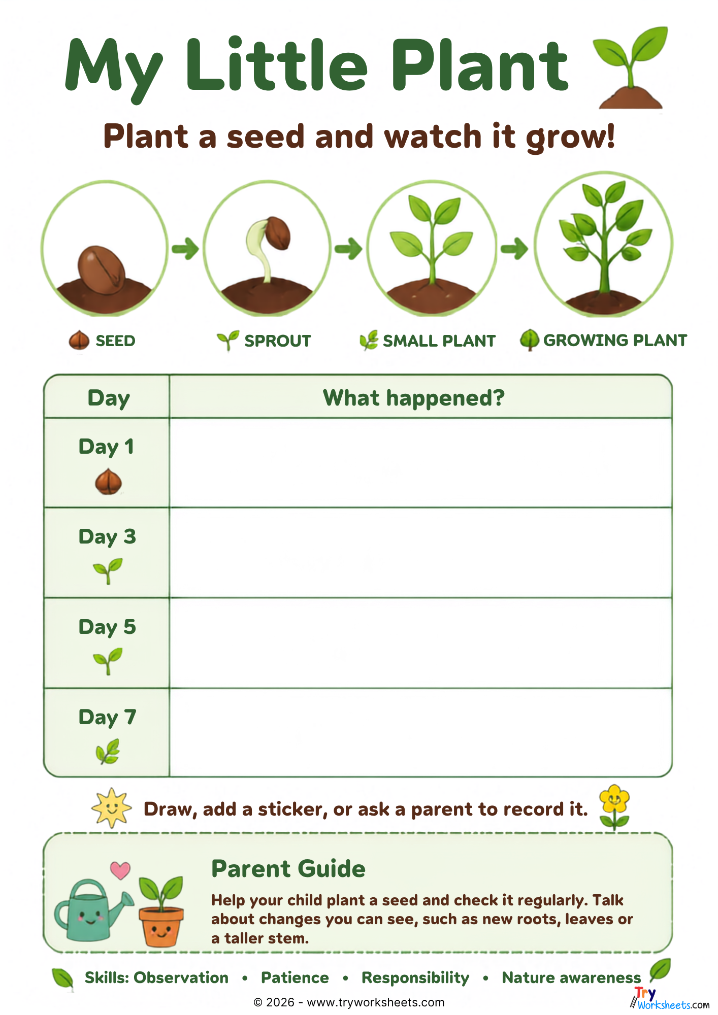 Plant seeds and watch them grow activity
