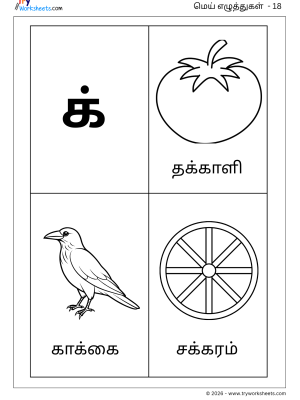 Tamil-LKG-Mei Eluthukkal Coloring - Letter 1