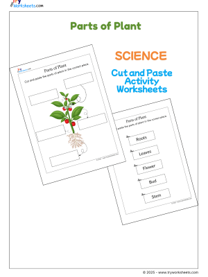 parts-of-plant-cut-paste