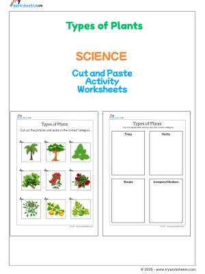 types-of-plats-cut-paste