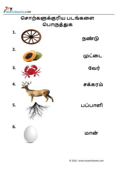 படங்களை பொருத்துக