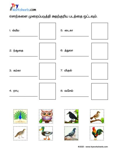 Tamil – Grade 3 – Cut and Paste Worksheet – Arrange the Bird Names and Match with the Picture