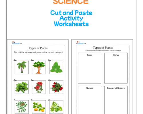 Science – Types of Plants Cut and Paste Worksheet | Fun Activity for Kids