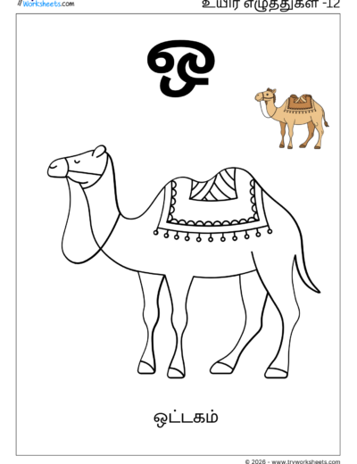 Uyir Eluthukkal Coloring Worksheet (ஒ) | Tamil Vowels Worksheet for Kids
