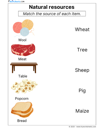 Science Grade 1 Worksheet – Natural resources