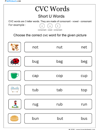 CVC Words Worksheets – Printable CVC Word Activities for Kids
