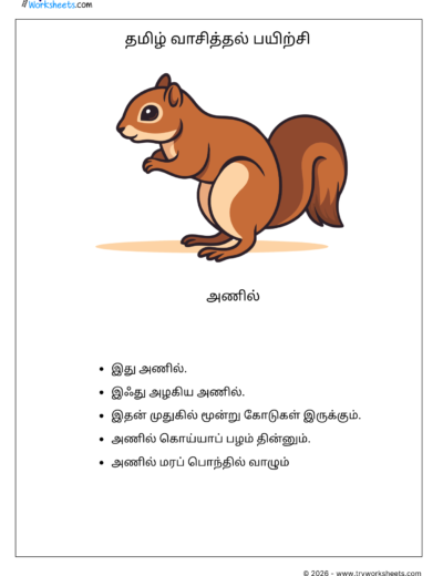 Tamil Short Passage Reading Practice Worksheets-Squirrel