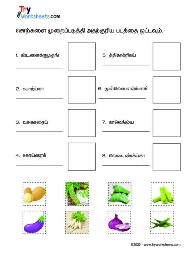 Tamil – Grade 3 – Cut and Paste Worksheet – Arrange the Vegetable Names and Match with the Picture