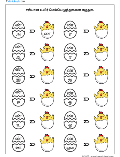 Tamil Grade 1 Worksheet – Complete the Uyirmei Ezhuthukkal (ண Series)