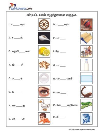 Tamil Grade 2 Missing Letters Worksheet | Mei Eluthukal Practice