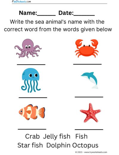 Sea Animals