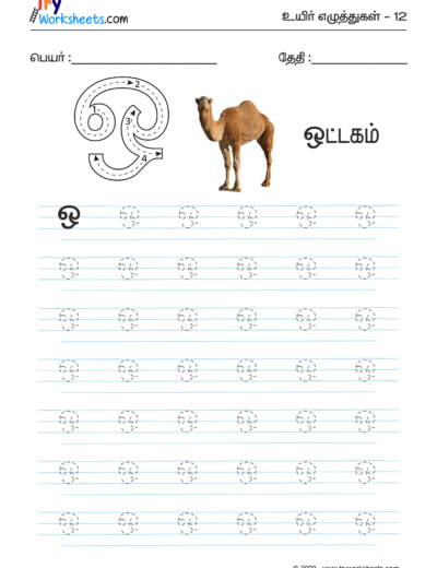 Tamil Tracing Worksheet – Letter – ஒ