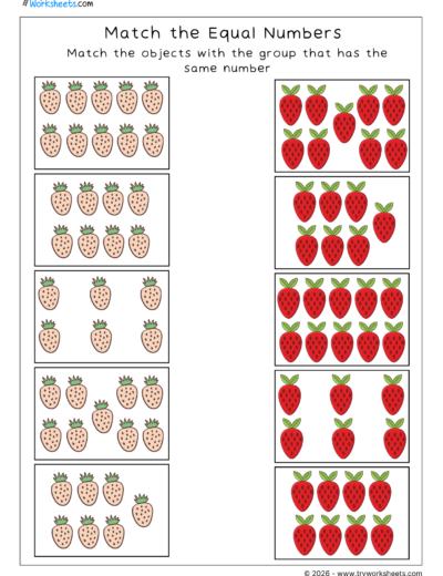 LKG Match the Equal Numbers Worksheets | Free Printable Math Activities
