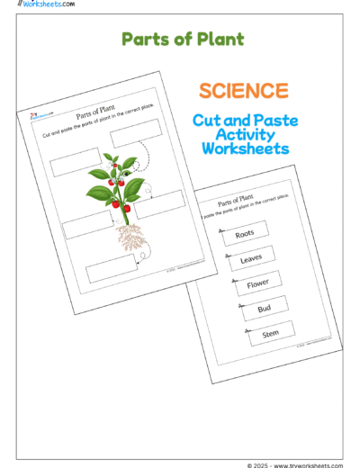 Science – Parts of Plants Cut and Paste Worksheet | Activities for Kids