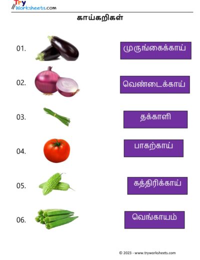 Tamil Worksheets – Grade 5 – Match Fruit Names