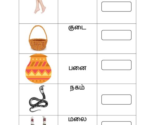 புதிய சொல் உருவாக்குக – 1