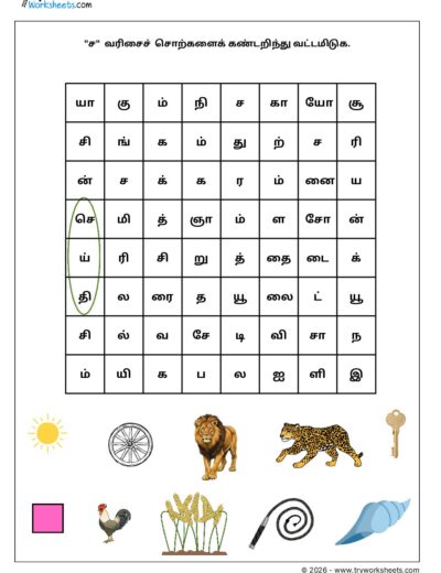 Tamil Grade 1 Worksheet – ச வரிசை Word Search Activity (PDF)