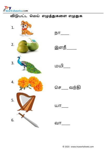 மெய் எழுத்துகளை எழுதுவோம் – 4