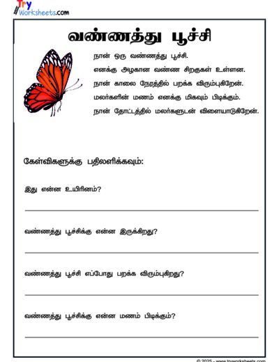 Tamil Prose Comprehension – Butterfly