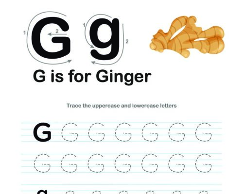 Tracing  Letter – G