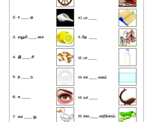 Tamil Grade 2 Missing Letters Worksheet | Mei Eluthukal Practice