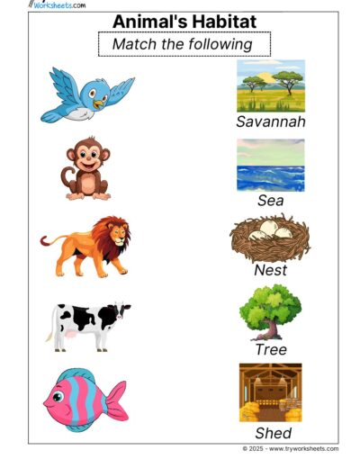 Science Grade 2 Worksheet Animal Habitat