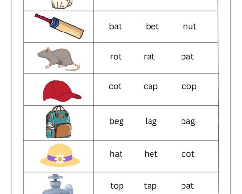 Grade 1 English Worksheet – Learn to Spell with Pictures