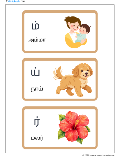Tamil Mei Ezhuthukkal Flash Cards – Page 4 | ம் ய் ர்