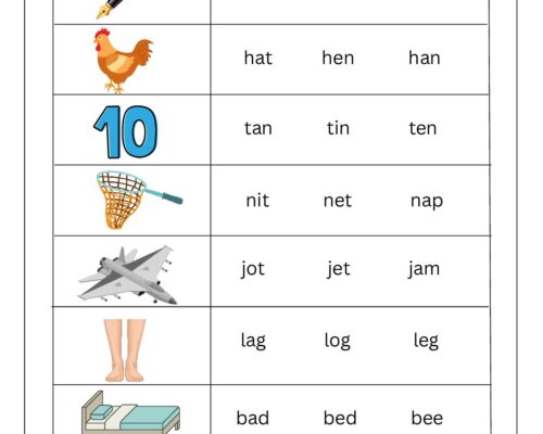 Grade 1 English Worksheet – Learn to Spell with Pictures