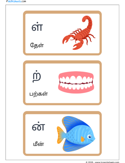 Tamil Mei Ezhuthukkal Flash Cards – Page 6 | ள் ற் ன்