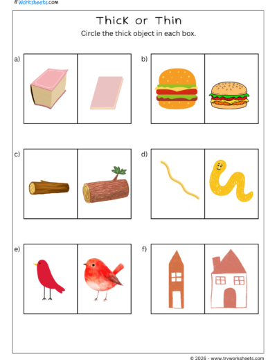 Thick or Thin Math Worksheets for Kids-2
