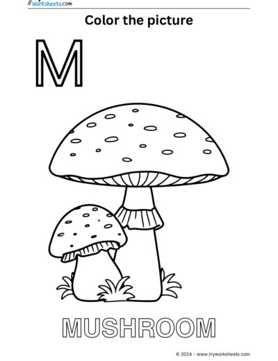 Color the Picture – M