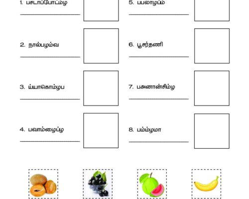 Tamil – Grade 3 – Cut and Paste Worksheet – Arrange the Fruit Names and Match with the Picture