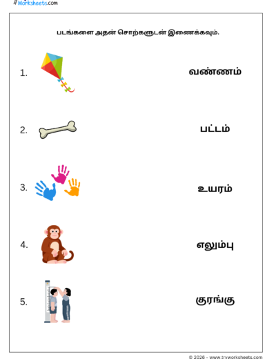 Match Four Letter Tamil Words Worksheet 1 | படங்களை சொற்களுடன் இணைக்கவும் | Free PDF