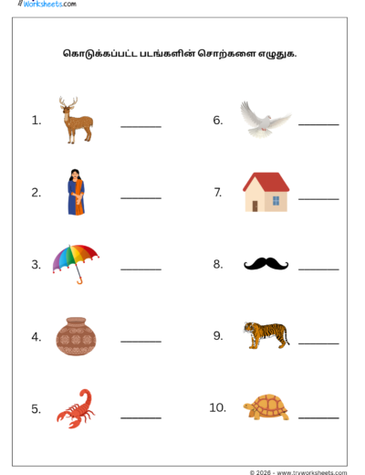 Tamil Grade 1 Worksheet – Write the Picture Words in Tamil | இரண்டெழுத்துச் சொற்கள்