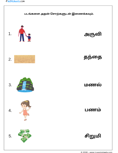 Match Three Letter Tamil Words Worksheet 5 | படங்களை சொற்களுடன் இணைக்கவும் | Free PDF