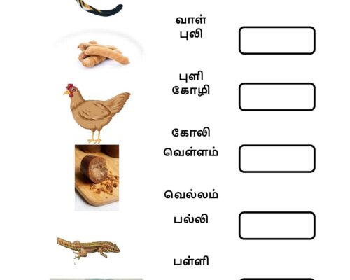 பொருத்தமான சொல்லை எடுத்து எழுதுக