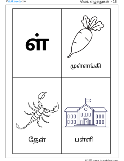 Tamil Mei Eluthukkal Coloring Worksheet – Letter ள்