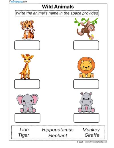 Science Grade 1 Worksheet – Wild