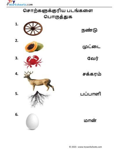 படங்களை பொருத்துக