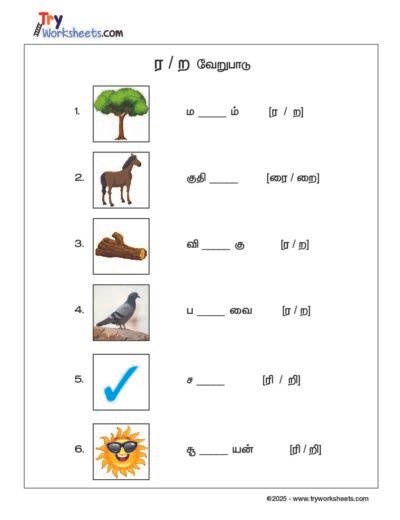 Tamil – Grade 2 Worksheet – Choose the Correct Letter