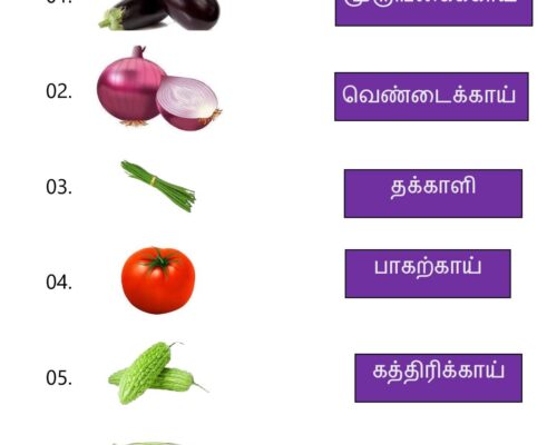Tamil Worksheets – Grade 5 – Match Fruit Names