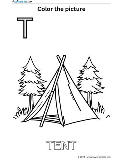 Color the Picture – T