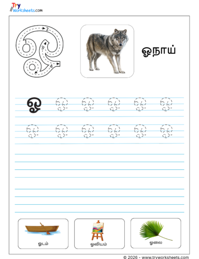 Tamil Letter ஓ Tracing & Writing Practice for Kids | Learn ஓ Words