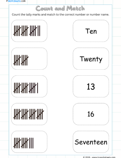 Numbers & Counting Worksheets for UKG