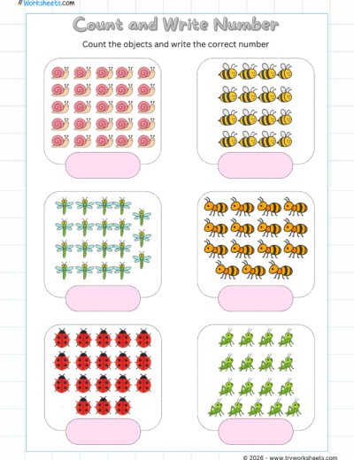 Numbers & Counting Worksheets for UKG