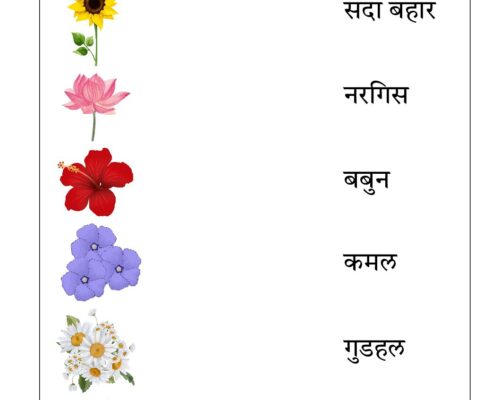 Hindi UKG Worksheet  – Flowers 2