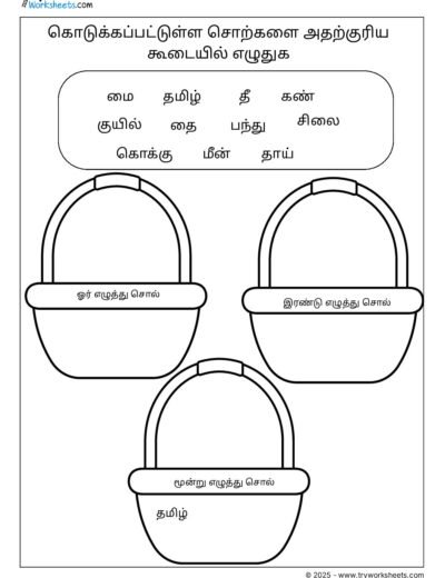 Tamil Grade 2 – Group the words by letter count