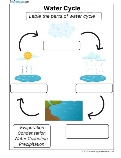Science Grade 2 Worksheet Water cycle