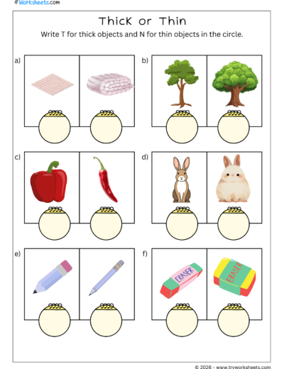 Thick or Thin Math Worksheets for Kids-1